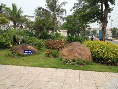 Mẫu hoa